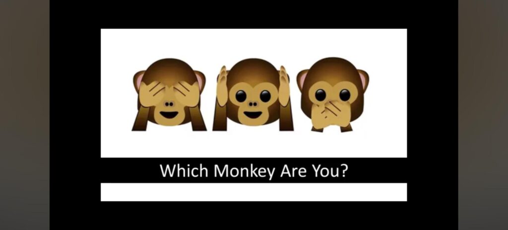 Which Monkey are you